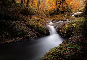 Boża ekologia [KS. HUBERT KOWALEWSKI CM]