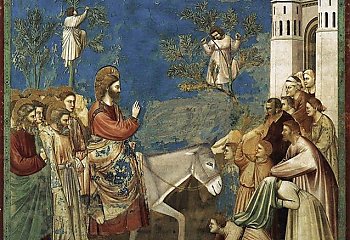Hosanna i krzyż. Co naprawdę pokazuje Niedziela Palmowa?