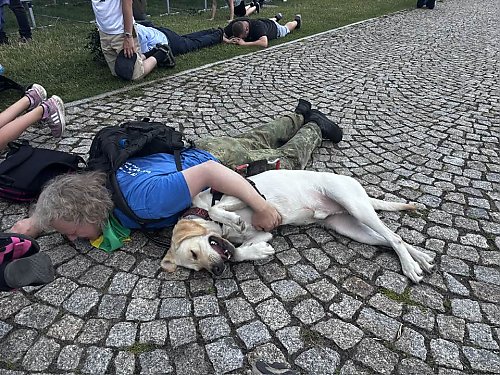 Bydgoscy pielgrzymi dotarli na Jasną Górę! Wzruszenie, grochówka i... pies przewodnik pod cudownym obrazem